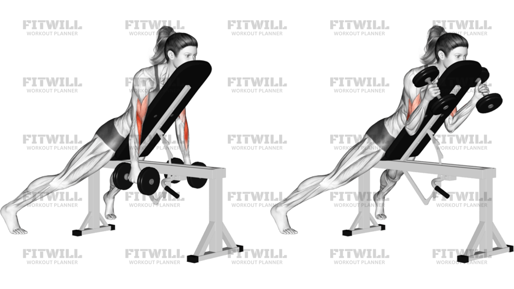 Dumbbell Prone Incline Hammer Curl