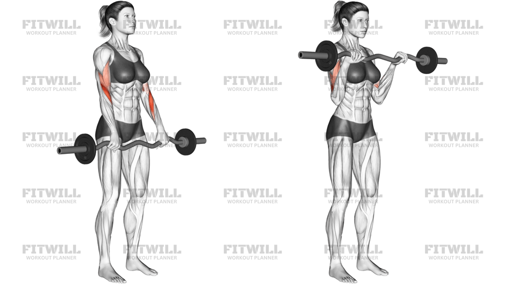 EZ Barbell Reverse-Grip Curl
