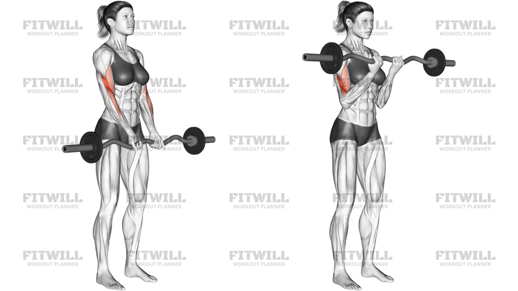 EZ Barbell Close-Grip Curl