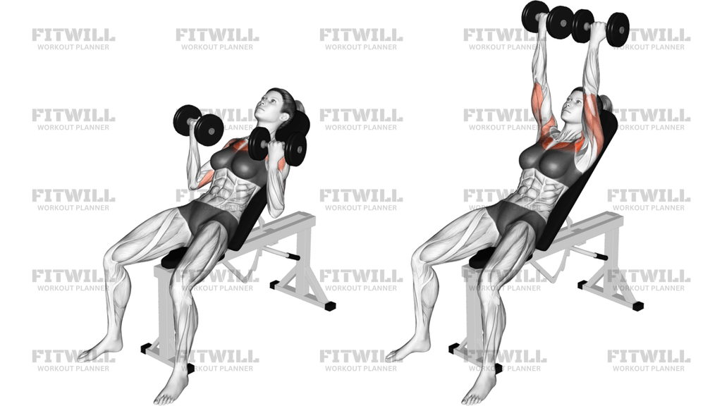 Dumbbell Incline Palm-In Press