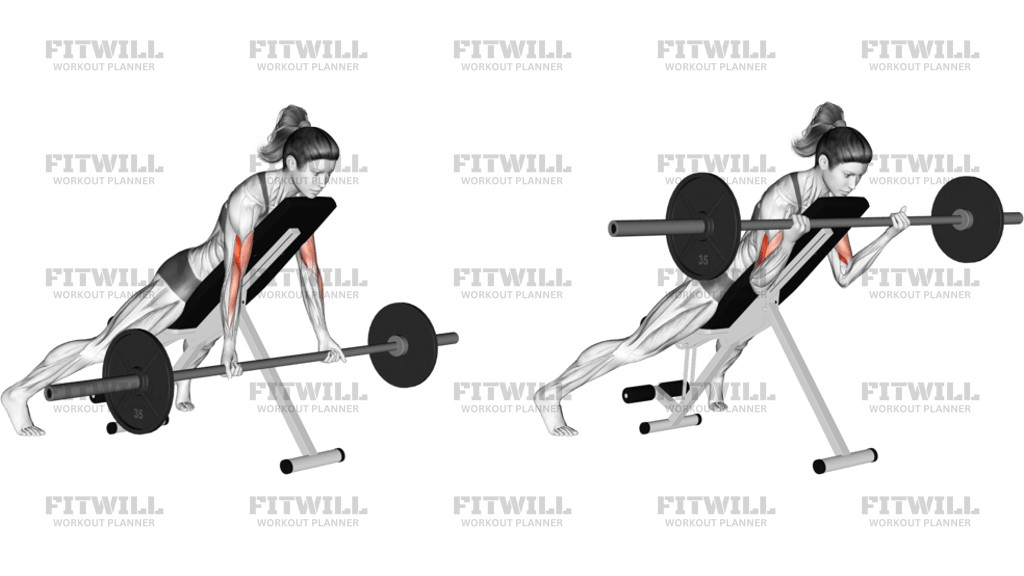 Barbell Prone Incline Curl