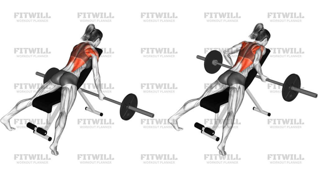 Barbell Reverse-Grip Incline Row
