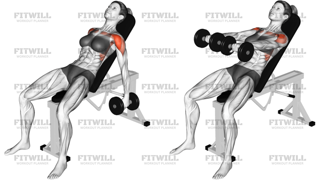 Dumbbell Incline Raise