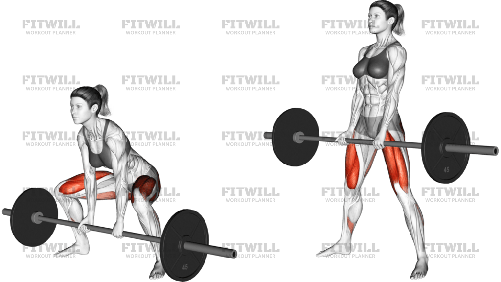 Barbell Sumo Deadlift