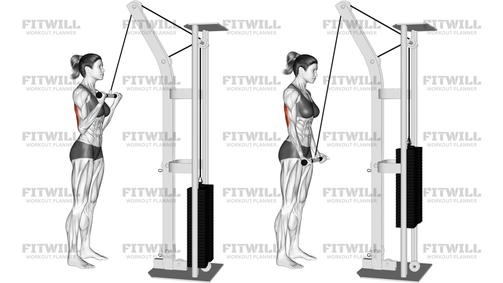 Cable Reverse-Grip Pushdown