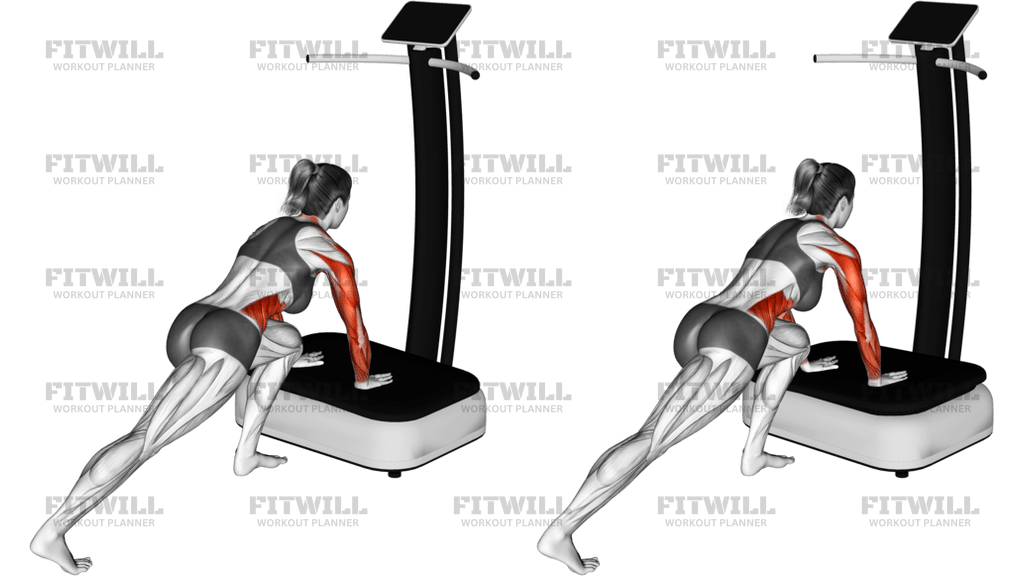 Vibrate Plate Plank
