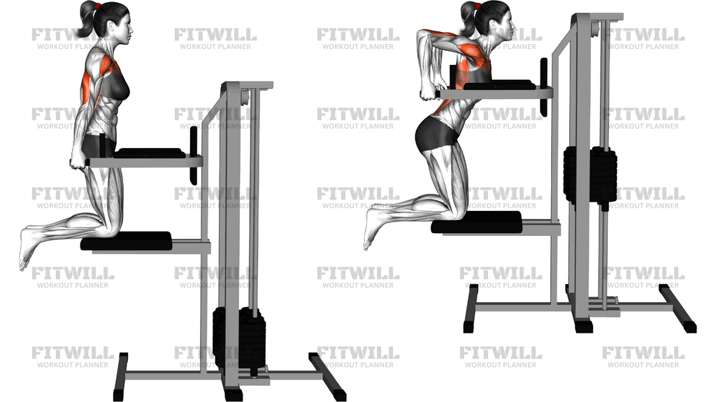 Kneeling Assisted Chest Dip