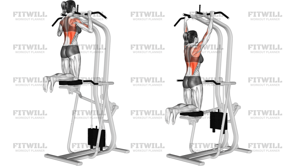 Assisted Pull-Up