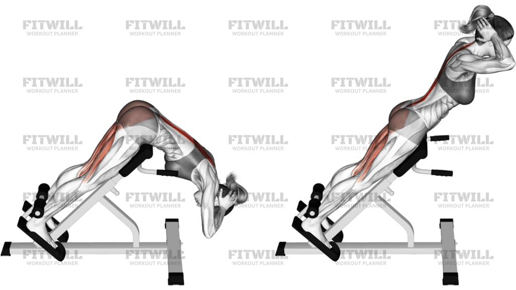 Hyperextension