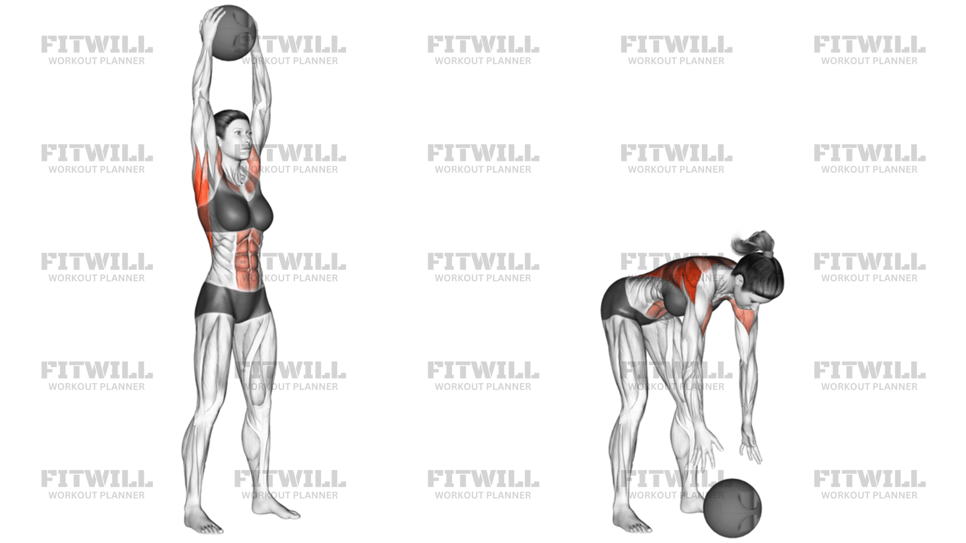 Medicine Ball Overhead Slam: Exercise Guide, Video, Techniques ...