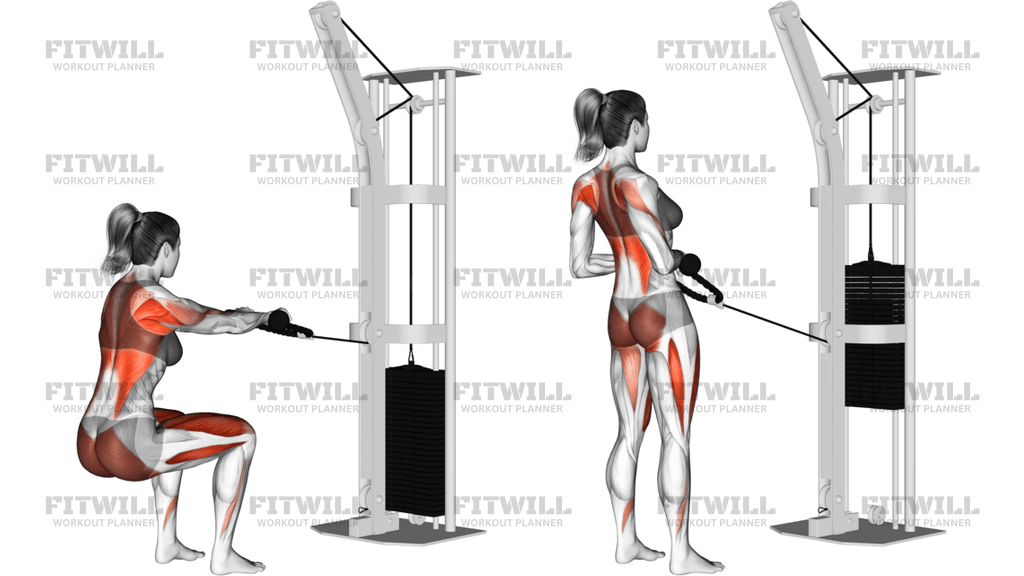Cable Squat Row With Rope Attachment