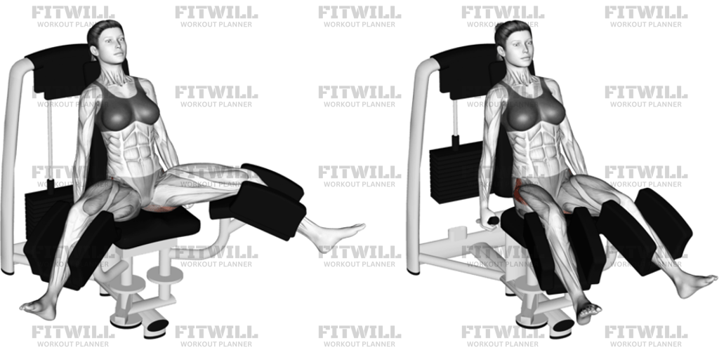 Lever Seated Hip Adduction Version 2: Exercise Guide, Video, Techniques ...