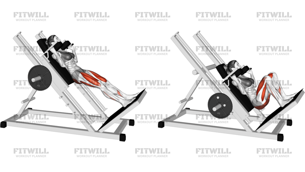Sled Full Hack Squat