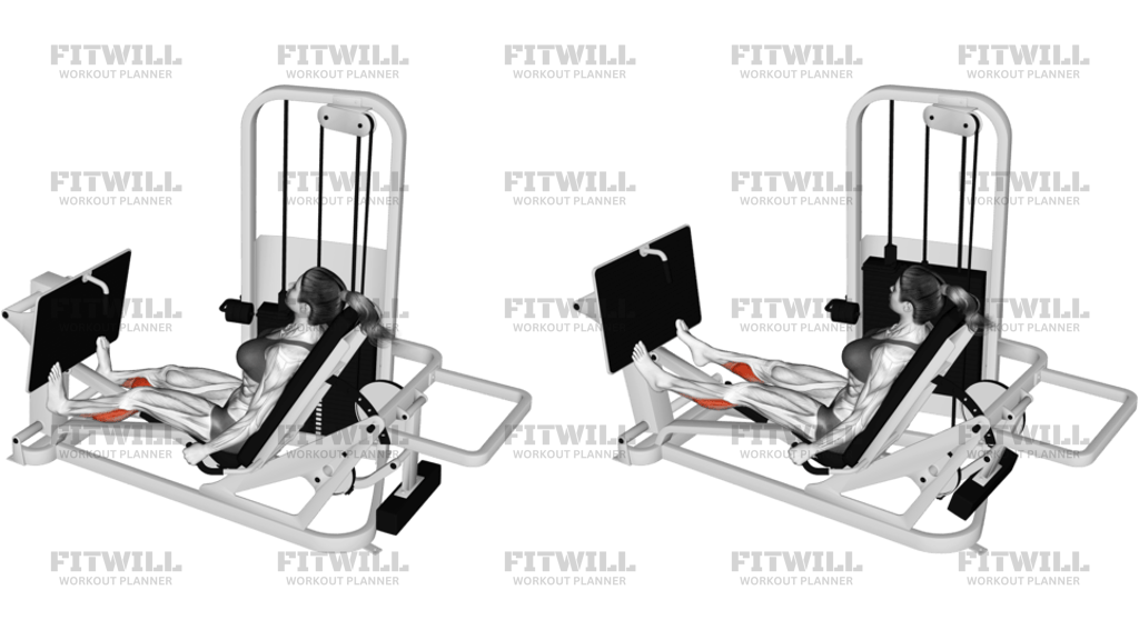 Lever Seated Calf Press