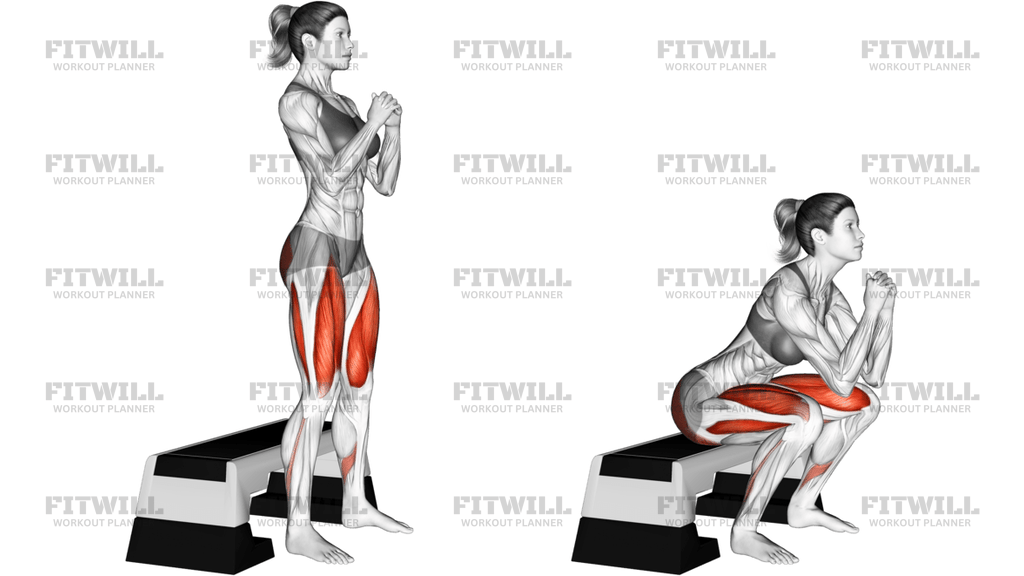 Bench Full Squat