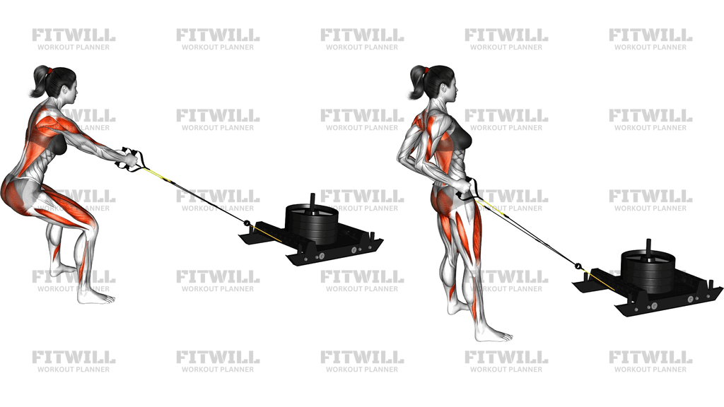 Power Sled Pull Row