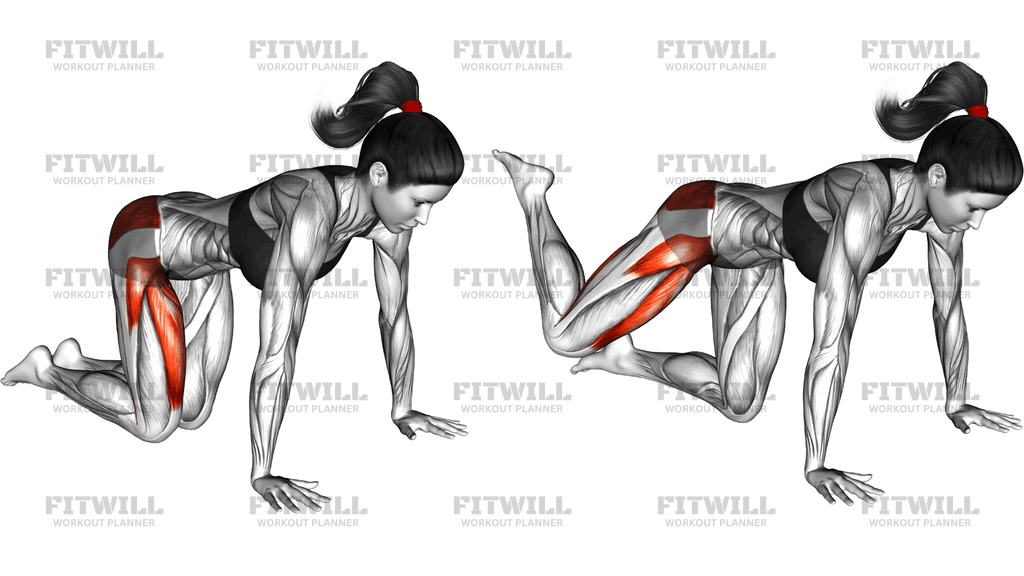 Kneeling Bent Leg Circle Kick
