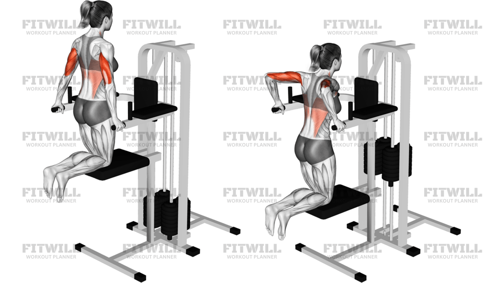 Kneeling Assisted Triceps Dip