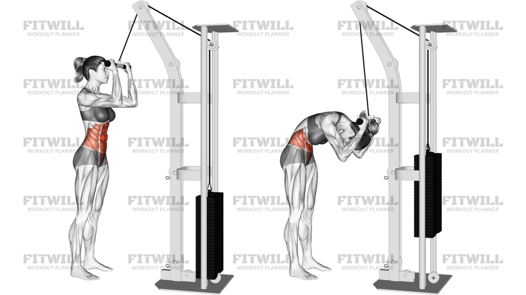 Cable Standing Crunch