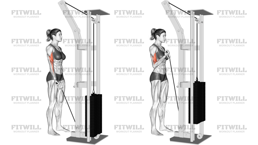 Cable One-Arm Curl