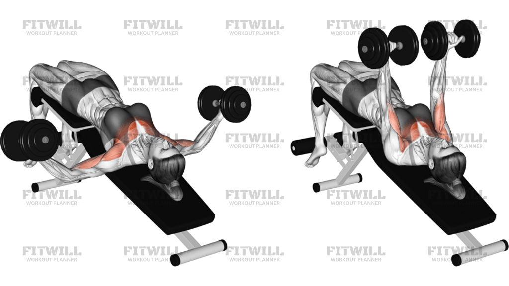 Dumbbell Decline Twist Fly
