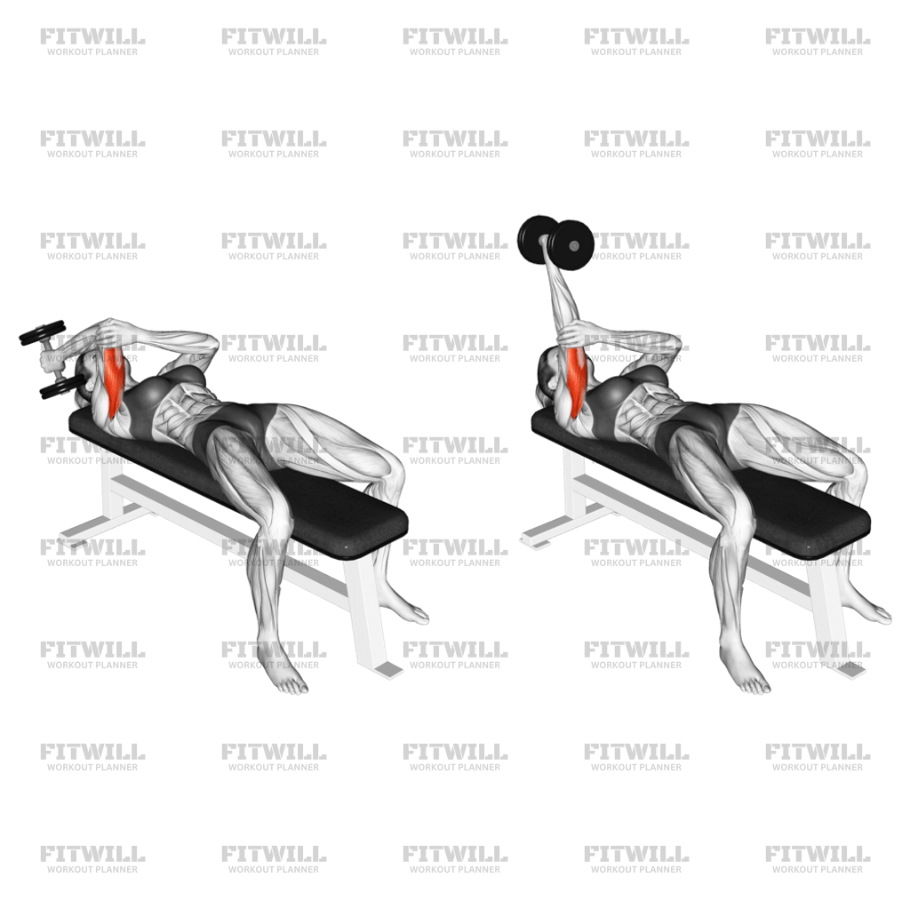 Dumbbell Lying One Arm Supinated Triceps Extension Exercise Guide Techniques Benefits How to Muscles Worked Tips Tricks Fitwill