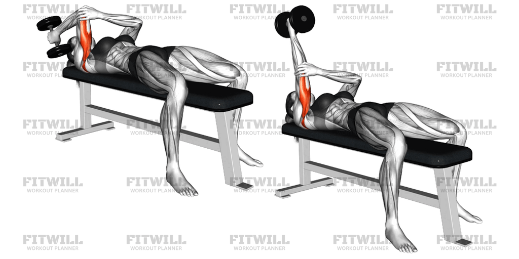 Dumbbell Lying One-Arm Supinated Triceps Extension: Exercise Guide ...