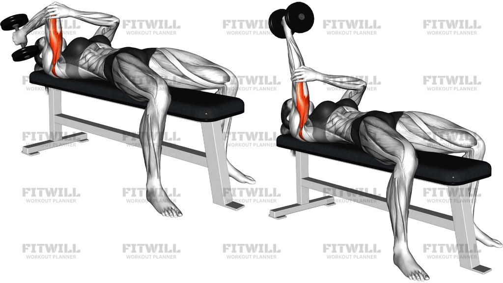 Dumbbell Lying One-Arm Supinated Triceps Extension
