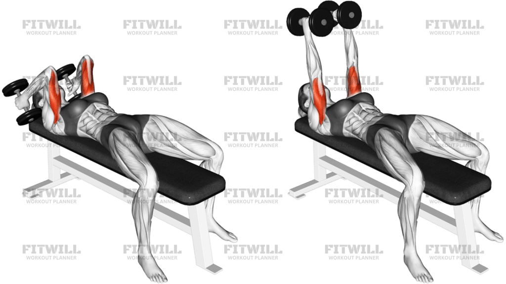 Dumbbell Lying Triceps Extension
