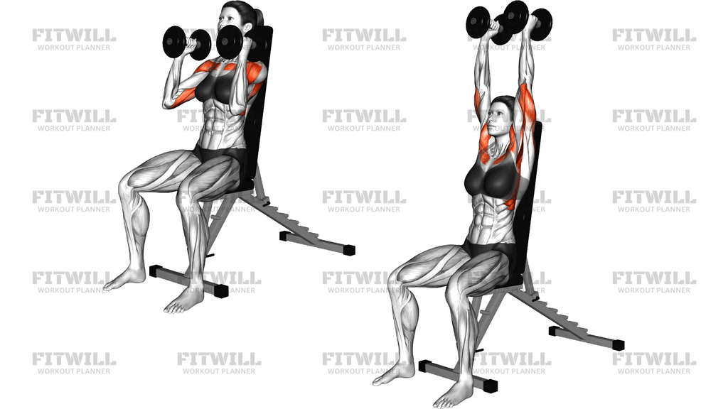 Dumbbell Seated Shoulder Press Parallel Grip