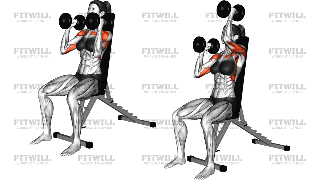 Dumbbell Seated Alternate Press
