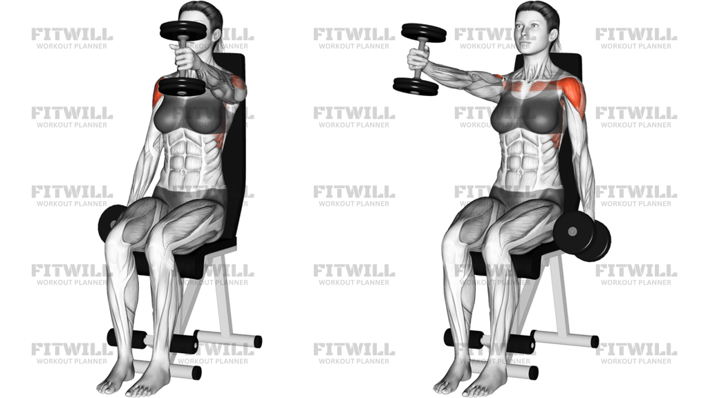 Dumbbell Seated Alternate Front Raise