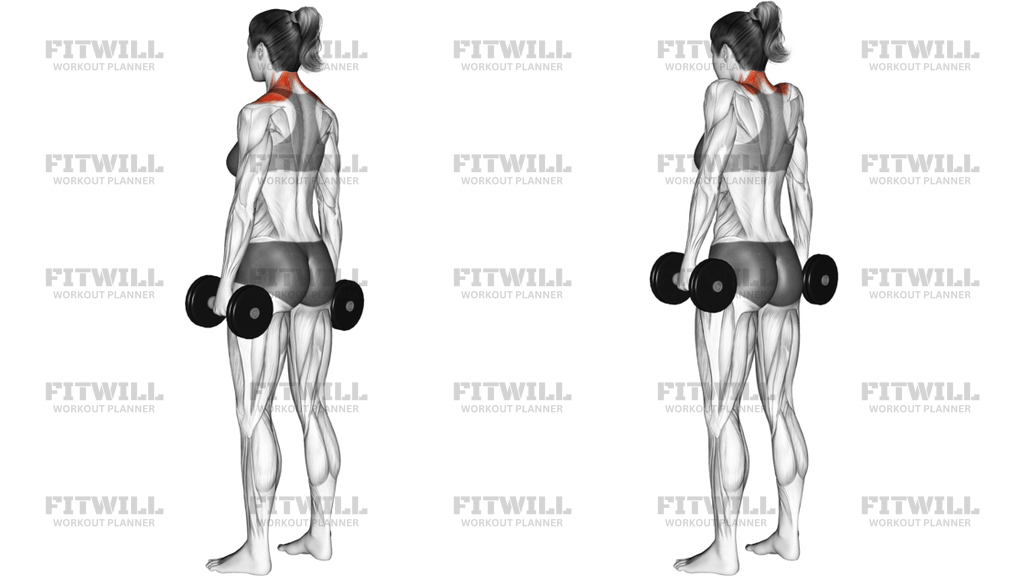 Dumbbell Shrug