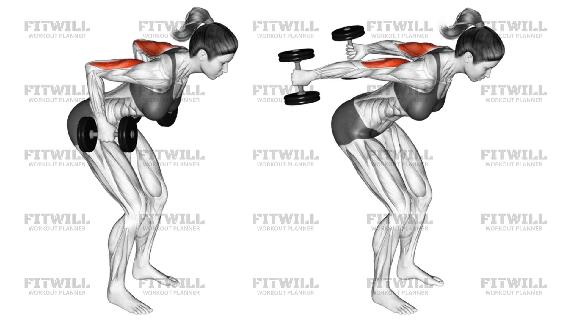How to do Dumbbell Standing Kickback Techniques, Benefits, Tips
