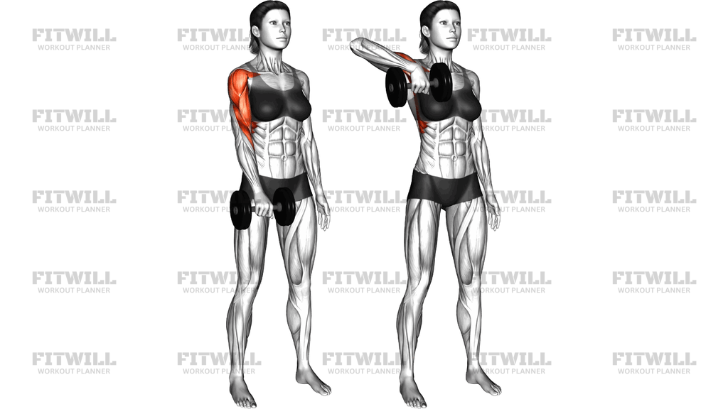 Dumbbell One-Arm Upright Row