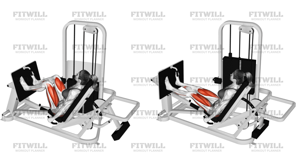 Lever Seated Leg Press