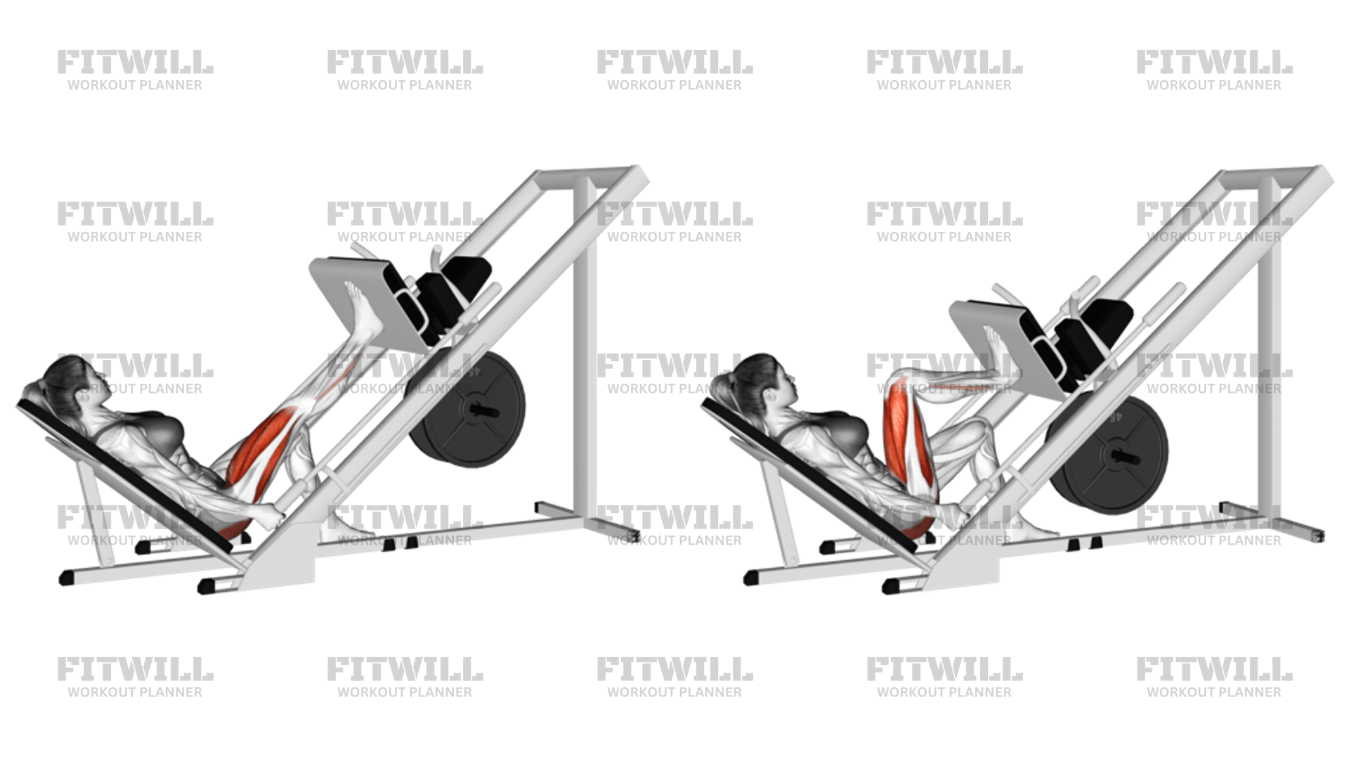 Sled 45 Degrees One Leg Press Exercise Guide Techniques Benefits How to Muscles Worked Tips Tricks Fitwill