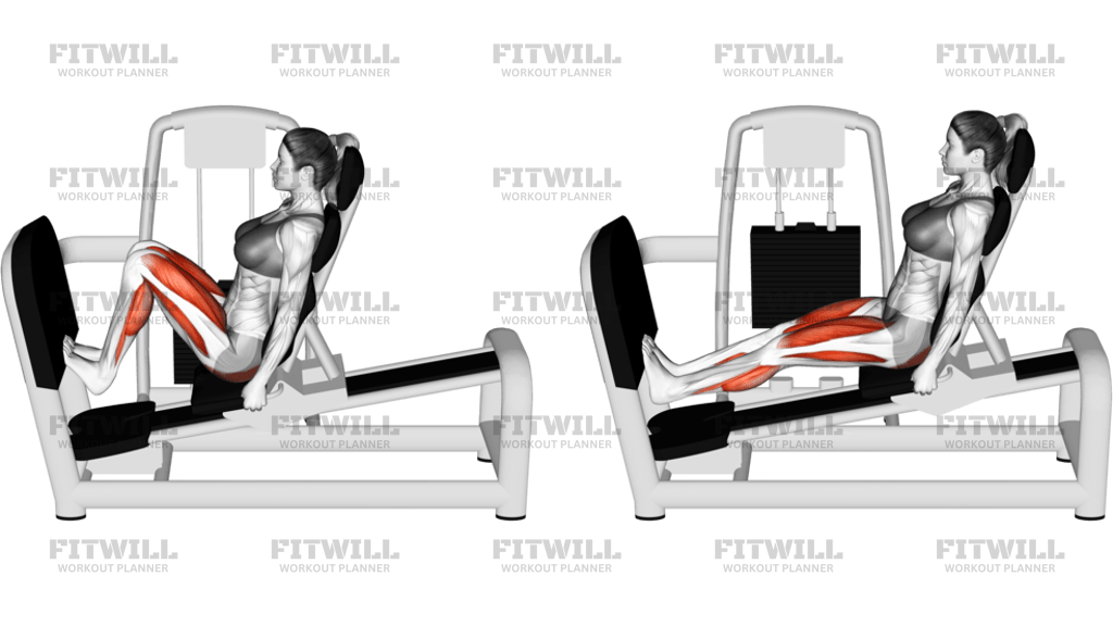 Lever Seated Squat Calf Raise On Leg Press