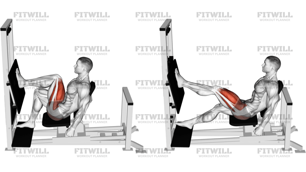 Lever Horizontal One Leg Press