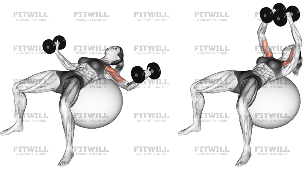 Dumbbell Fly On Exercise Ball