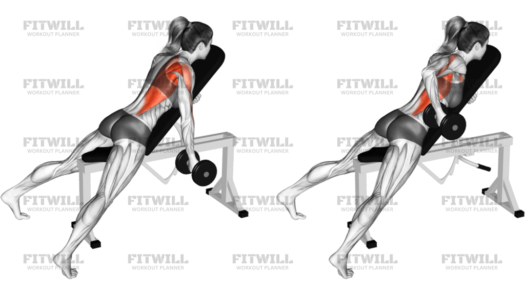 Dumbbell Reverse-Grip Incline Bench One-Arm Row