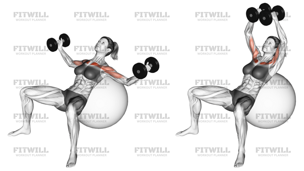 Dumbbell Incline Fly On Exercise Ball: Exercise Guide, Video ...