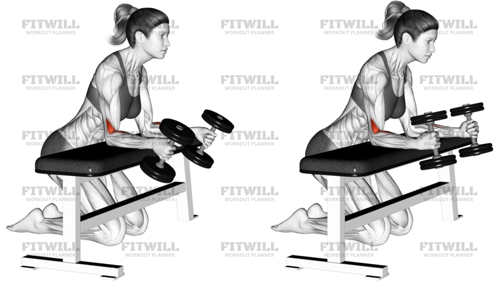 Dumbbell Over Bench Neutral Wrist Curl