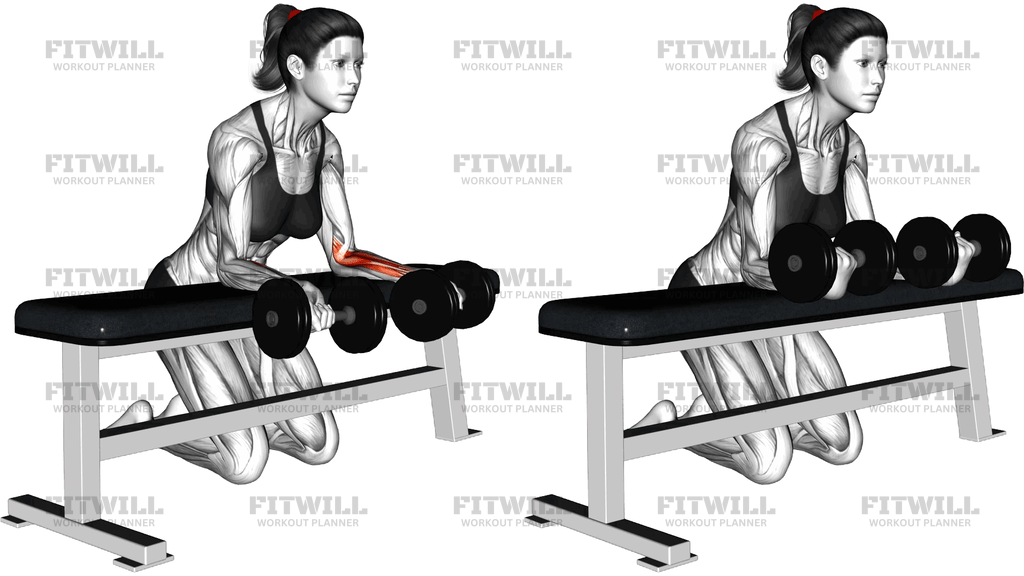 Dumbbell Over Bench Reverse Wrist Curl