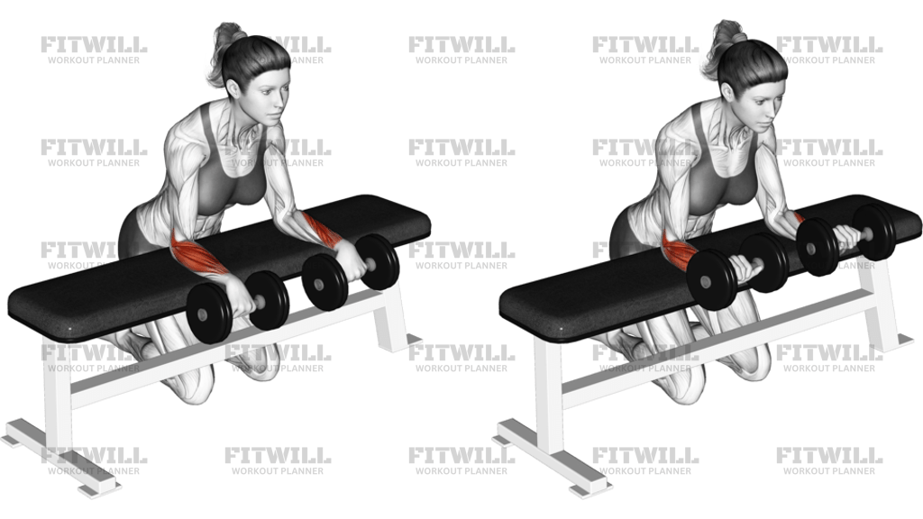 Dumbbell Over Bench Wrist Curl