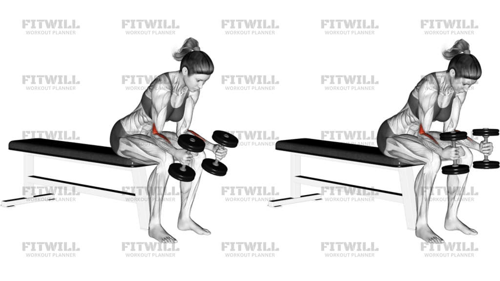 Dumbbell Seated Neutral Wrist Curl