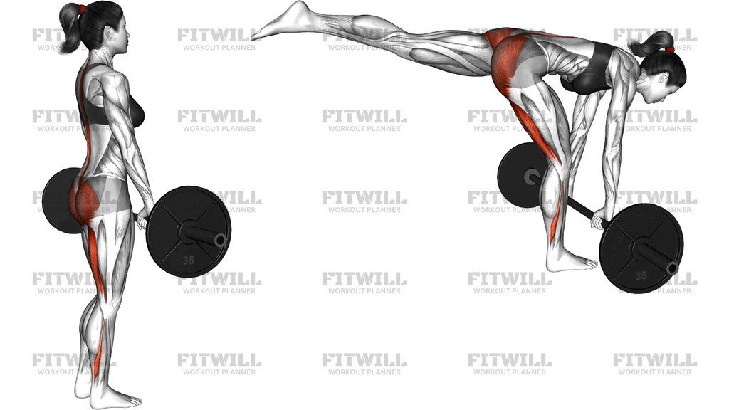 Barbell Single Leg Deadlift