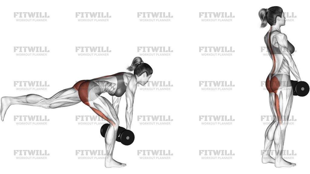 Dumbbell Single Leg Deadlift