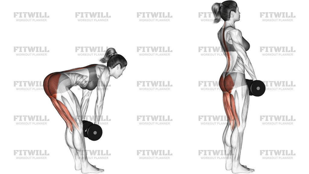 Dumbbell Stiff Leg Deadlift