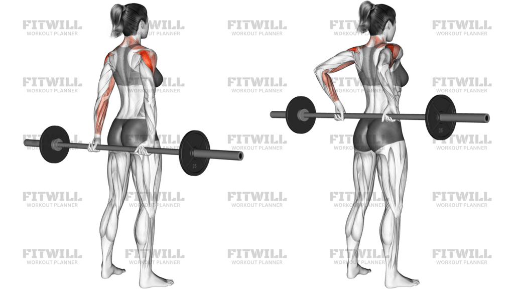 Barbell Rear Delt Raise _shoulder